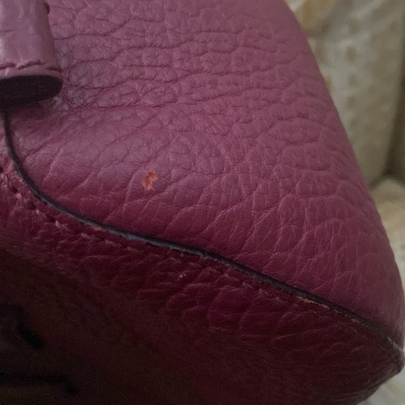 Burberry Orchard Purse - Picture 13 of 14